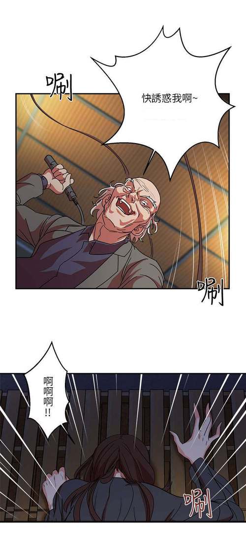 母猪饲养计划漫画完整版