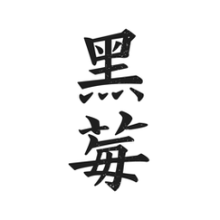 黑莓小说免费版