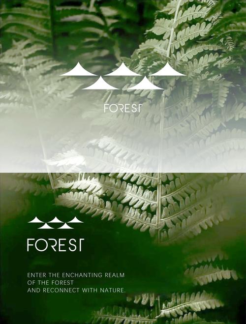 forest官方旗舰店