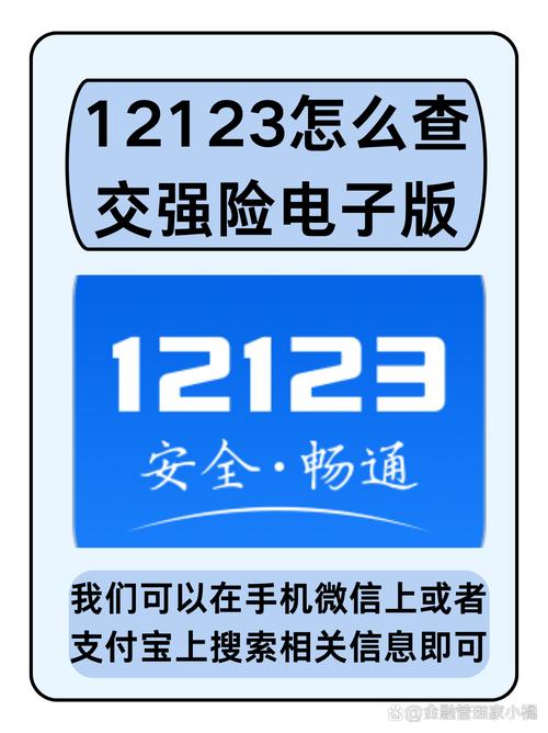 12123违章查询准确吗图标