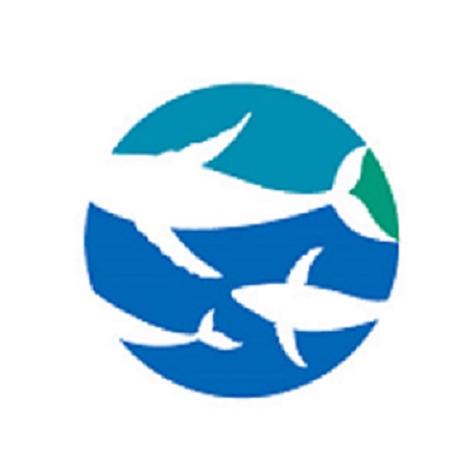 海蓝辅助