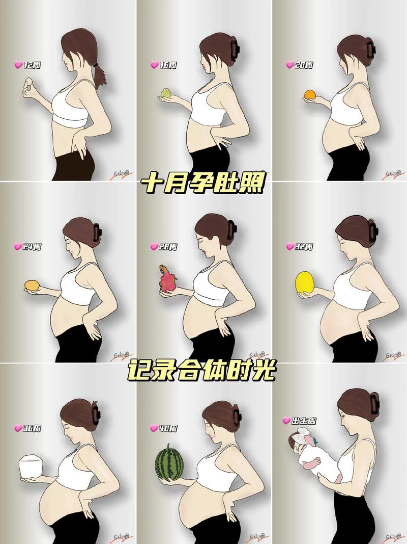 怀孕过程肚子的变化的视频 很大截图
