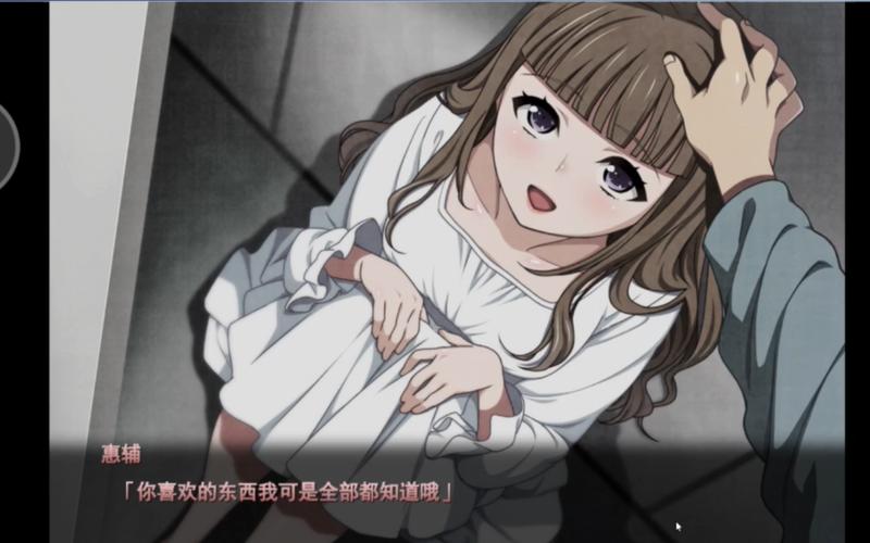 euphoria安卓无修汉化无广告版