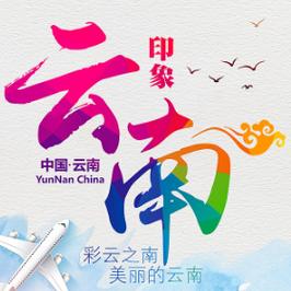 云南七彩云南app最新版本更新内容