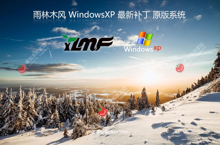 雨林木风win7