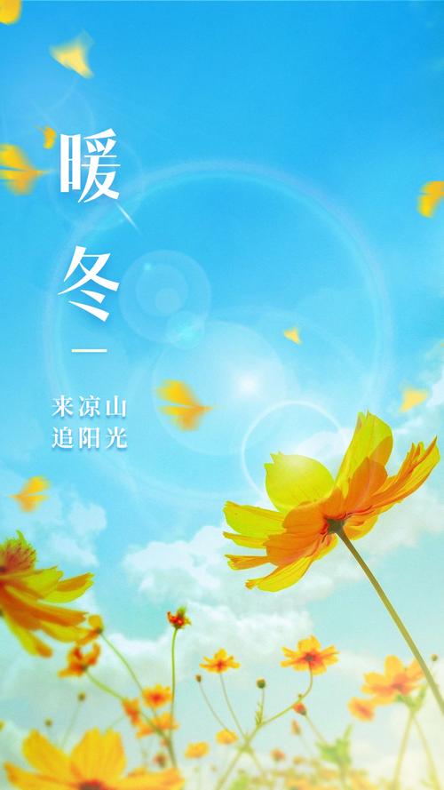 初冬暖阳安卓直接