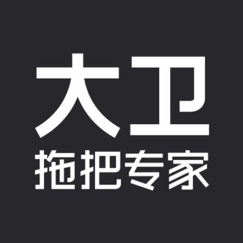 大卫拖把哪一款好用
