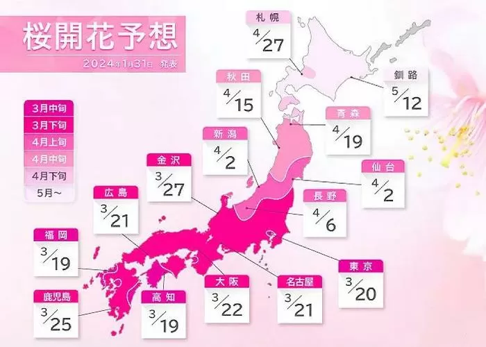樱花更新1,038,72
