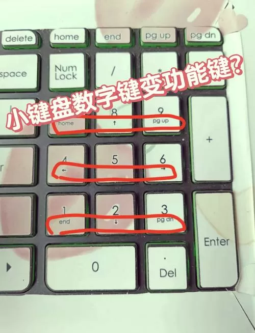 键盘能用,但打不出数字截图