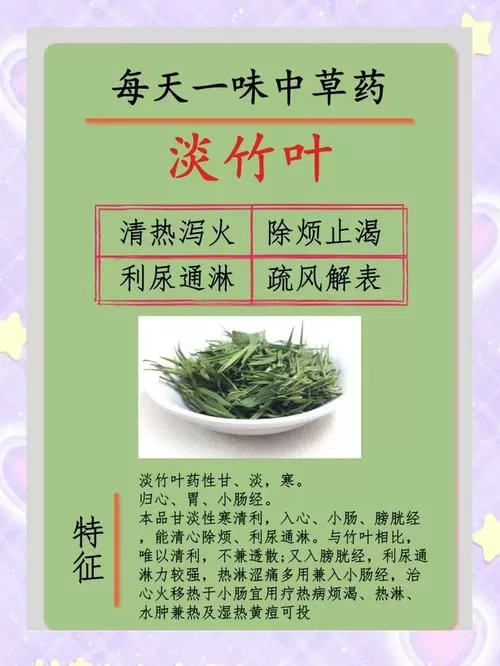 淡竹叶的归经与功效