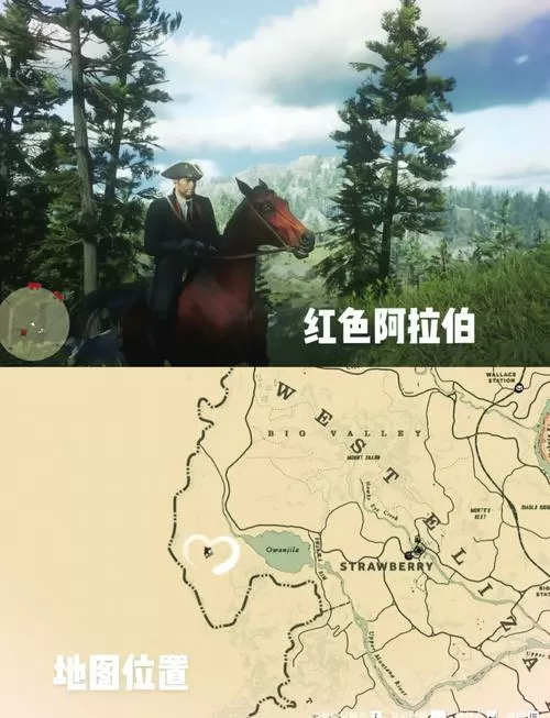 荒野大镖客2驯马技巧
