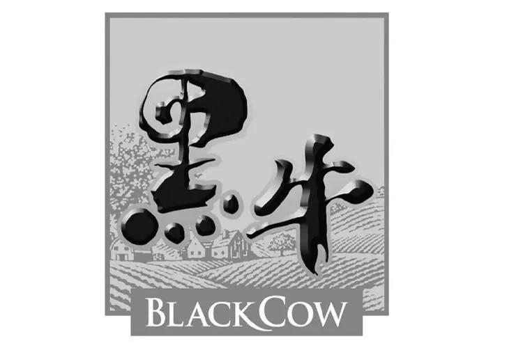 黑牛加速器破解