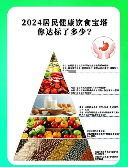 中国膳食指南每日摄入量