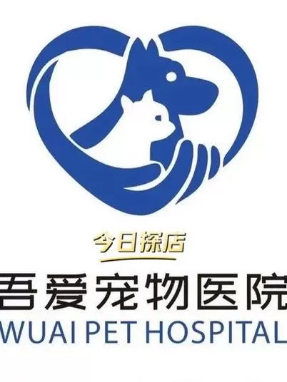 全民养狗升级就给分红犬