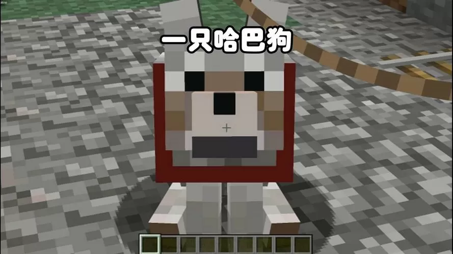 我的世界细狗合集