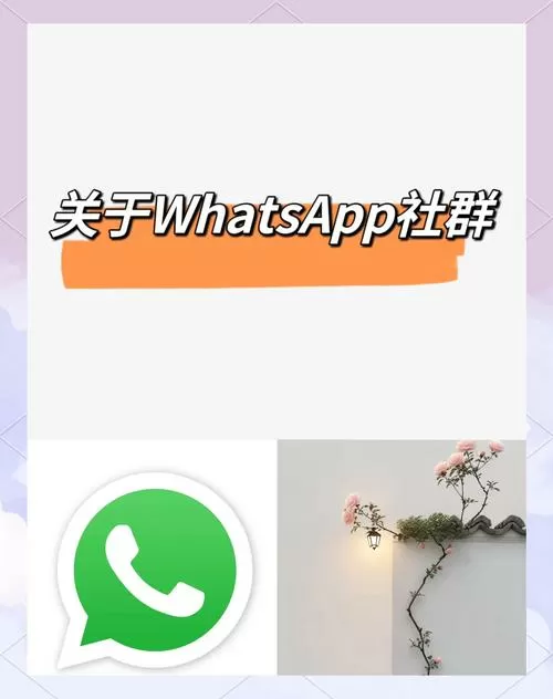 不会封号可以拉群的软件