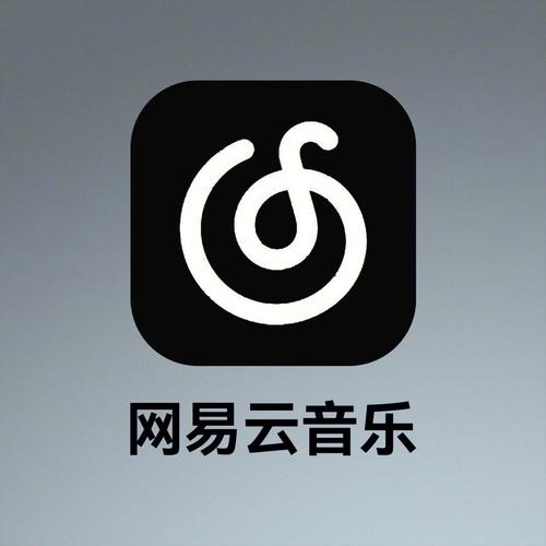 网易云歌词提取软件