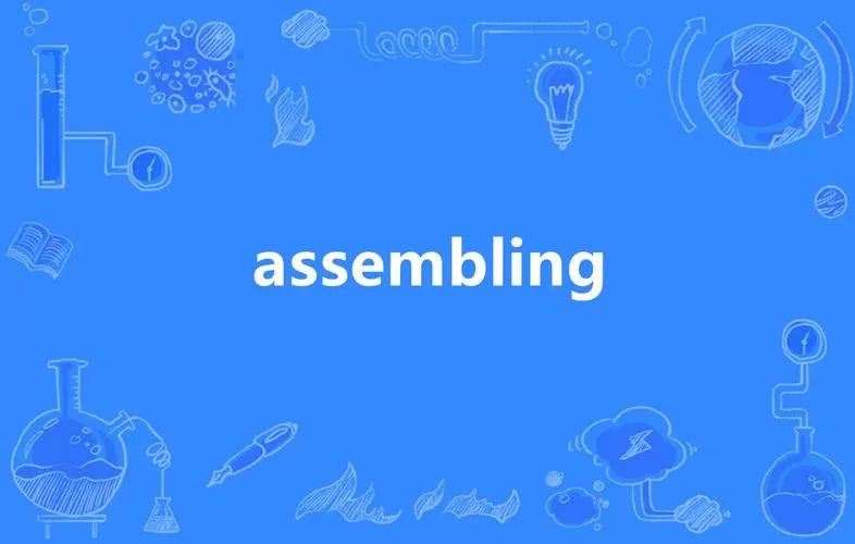 assembly专业术语