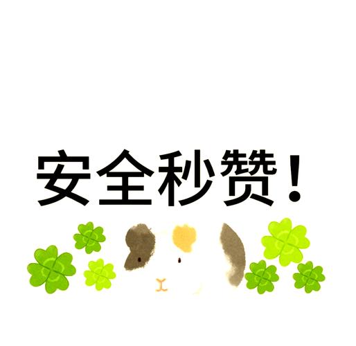 爱上秒赞网