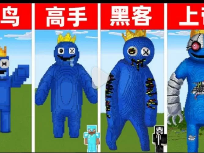 我的世界菜鸟高手黑客