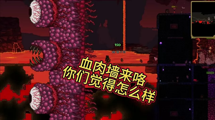 泰拉瑞亚如何拆除墙壁