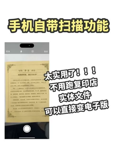 口袋扫描仪怎么导出文件