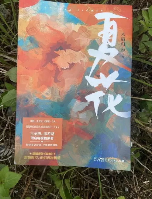 夏花的小说