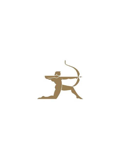 弓箭手破解版免费下载