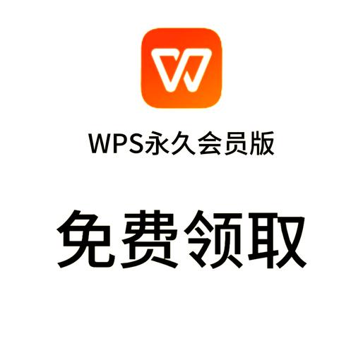 wps会员离线可以登录吗