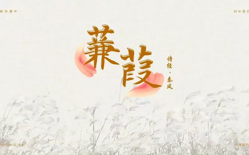 蒹葭 作者:蒟蒻蒟蒻
