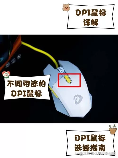 鼠标键盘插usb2.0还是3.0