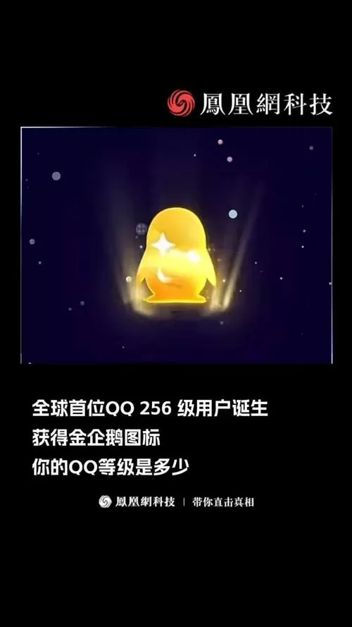qq运动奖金赛在哪里找
