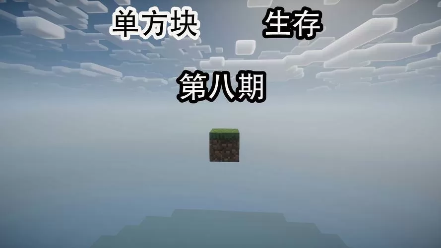 我的世界单方块生存100天