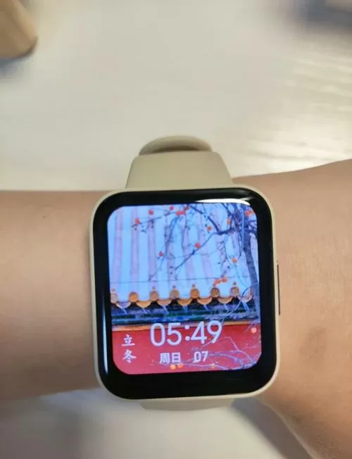 Redmi手表2