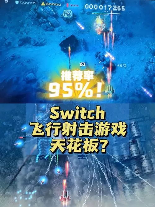 switch飞行射击游戏图标