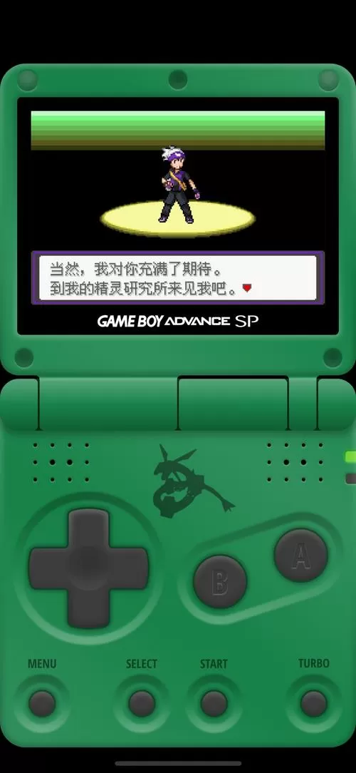 手机宝可梦nds模拟器截图