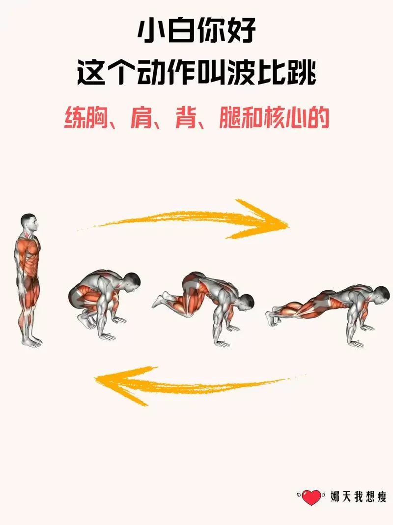 波比跳为什么叫波比跳