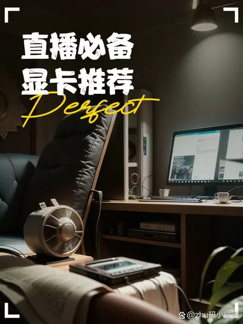 抖音直播伴侣用什么显卡