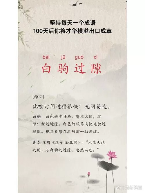 白驹过隙出处及原文