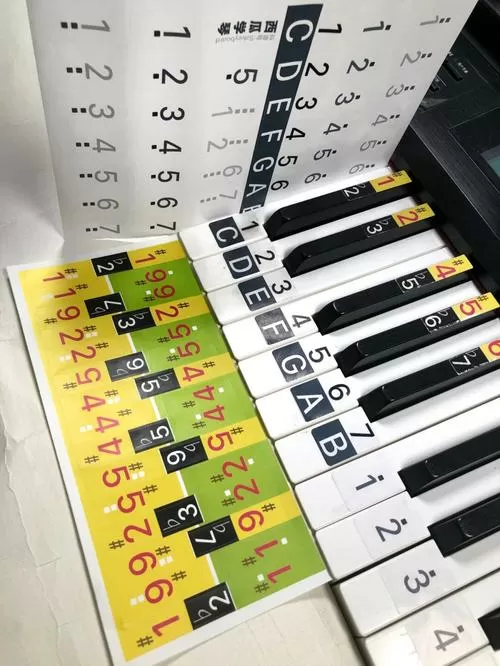 电子琴琴贴61键图解
