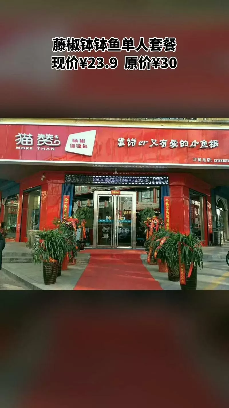 老款猫赞和新款猫赞哪个好图标