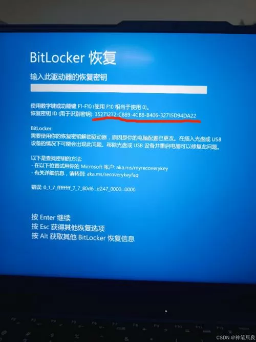 输入恢复密钥
