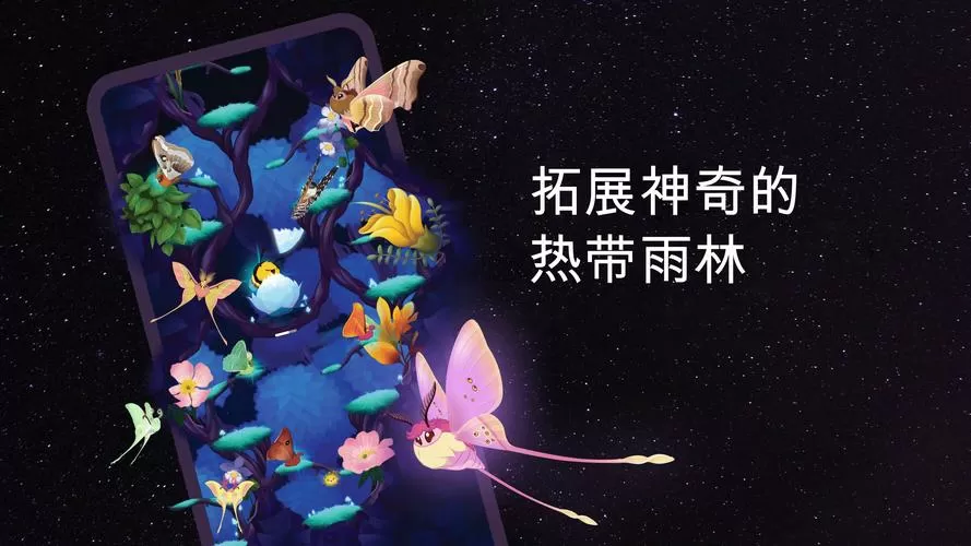 彩翼之星夜破解版