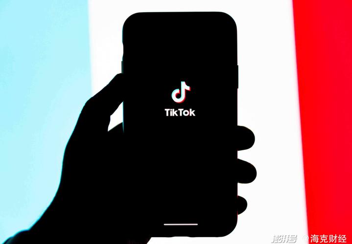 tiktok成年人版防走失
