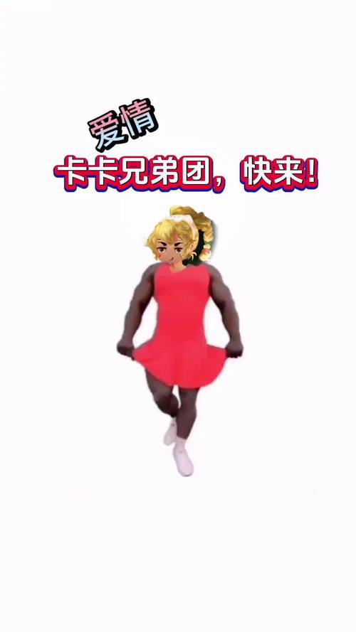 卡卡美化包