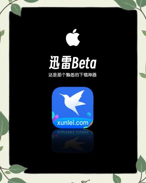 ios迅雷beta内测版