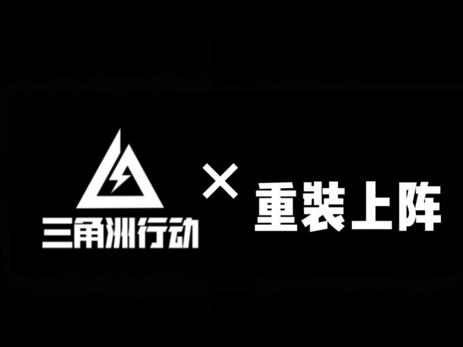 重装上阵白夜辅助黑色版免墙版