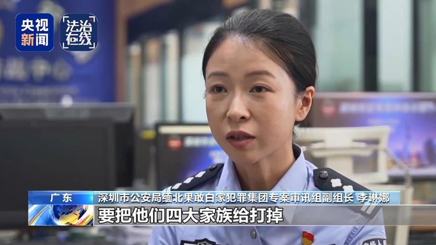 外网专门看缅北视频软件