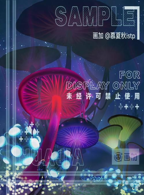蘑菇星球任务