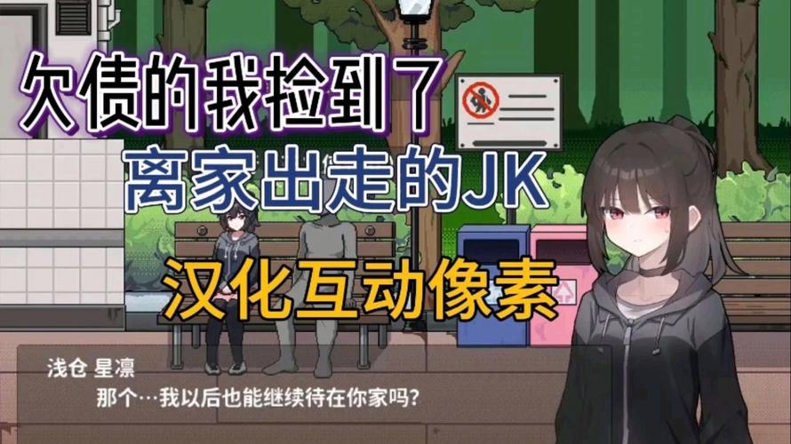 捡到离家出走jk游戏破解版无限vip